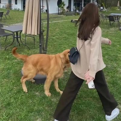 名校风暴第五季
