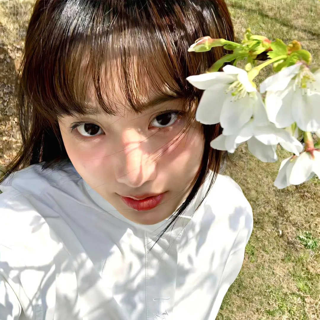 南希·德鲁和隐藏的楼梯